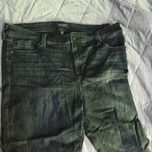 Liverpool Women's Dark Green Skinny Jeans